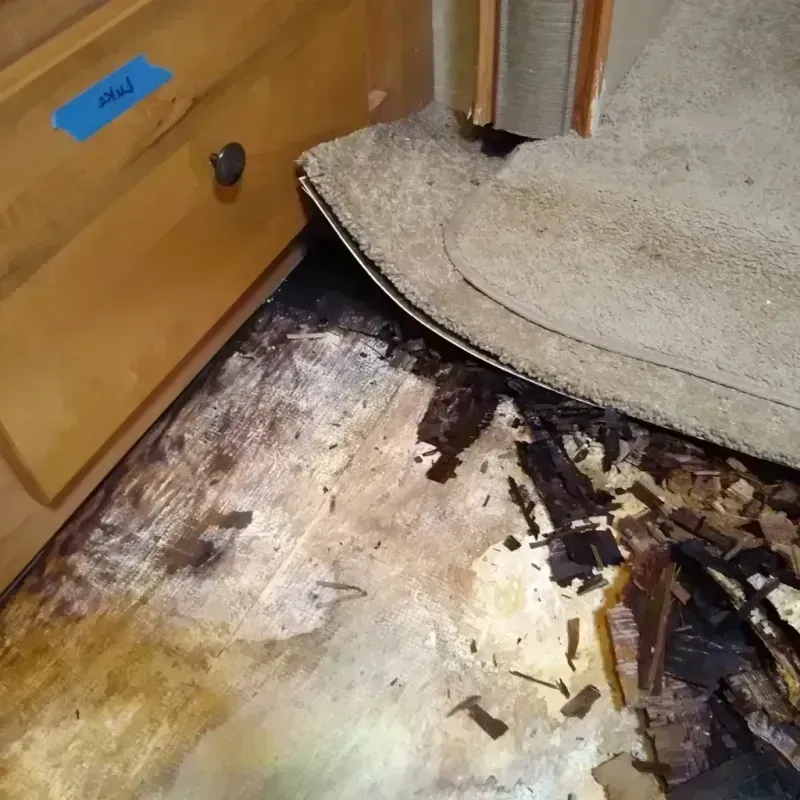 Wood Floor Water Damage in Richland County, WI